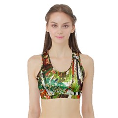 April -    Birds Of Paradise Sports Bra With Border by bestdesignintheworld