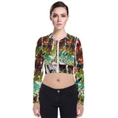 April -    Birds Of Paradise Bomber Jacket