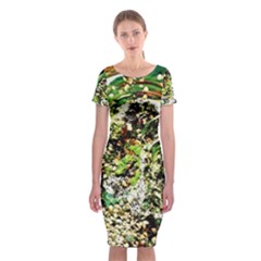 April   Birds Of Paradise 5 Classic Short Sleeve Midi Dress by bestdesignintheworld