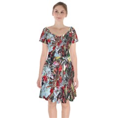 Dscf2312 Eden Garden-2 Short Sleeve Bardot Dress by bestdesignintheworld