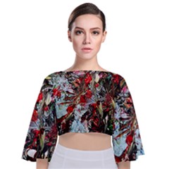 Dscf2312 Eden Garden-2 Tie Back Butterfly Sleeve Chiffon Top