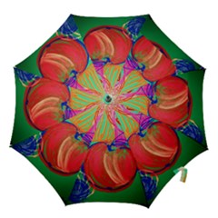 Dscf1425 (1) - Fruits And Geometry-2 Hook Handle Umbrellas (small) by bestdesignintheworld