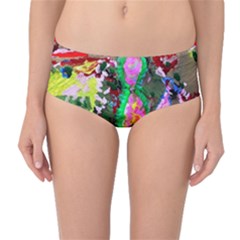 Dscf1239 - Desert In A Bloom Mid-waist Bikini Bottoms by bestdesignintheworld