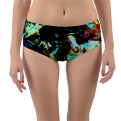 Dscf3082 - Sphinx And Wheel Of Time Reversible Mid-waist Bikini Bottoms by bestdesignintheworld