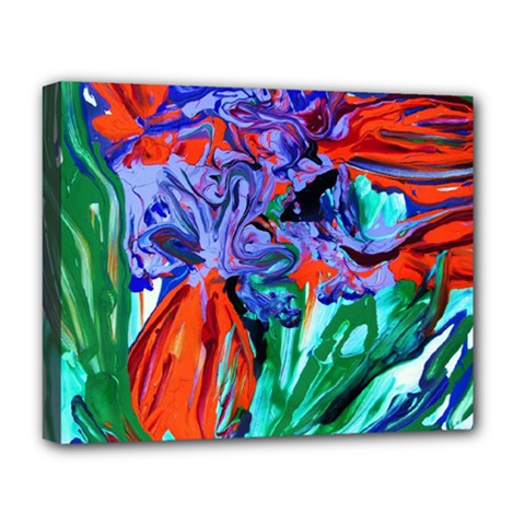 Dscf1366 - Birds Of Paradise Deluxe Canvas 20  X 16   by bestdesignintheworld