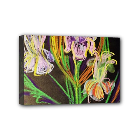 Dscf1378 - Irises On The Black Mini Canvas 6  X 4  by bestdesignintheworld