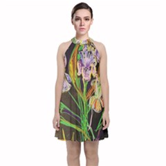 Dscf1378 - Irises On The Black Velvet Halter Neckline Dress  by bestdesignintheworld