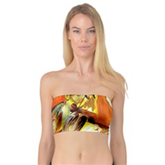 Dscf1503 - With Themis On A Shade Bandeau Top by bestdesignintheworld