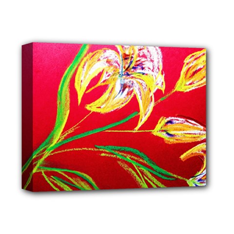 Dscf1393 - Tender Bright Lillies Deluxe Canvas 14  X 11  by bestdesignintheworld