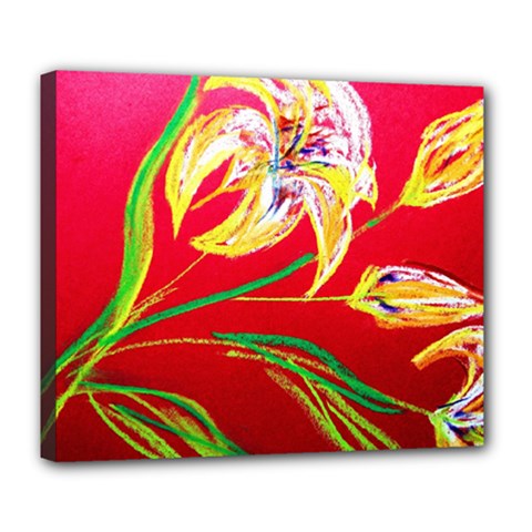 Dscf1393 - Tender Bright Lillies Deluxe Canvas 24  X 20   by bestdesignintheworld