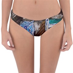 Dscf2546 - Toy Horsey Reversible Hipster Bikini Bottoms by bestdesignintheworld