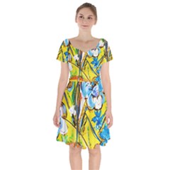 Dscf1422 - Country Flowers In The Yard Short Sleeve Bardot Dress by bestdesignintheworld