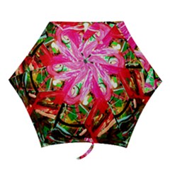 Dscf2035 - Flamingo On A Chad Lake Mini Folding Umbrellas by bestdesignintheworld