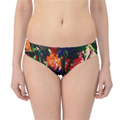 Dscf1979   Copy (2) - Secret Gift Hipster Bikini Bottoms by bestdesignintheworld