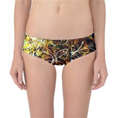 Dscf3438 - Golden Flowers In Ceramics Classic Bikini Bottoms by bestdesignintheworld