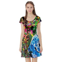 Dscf1611 - Lady In Kimono And Tulip Tree Short Sleeve Skater Dress by bestdesignintheworld