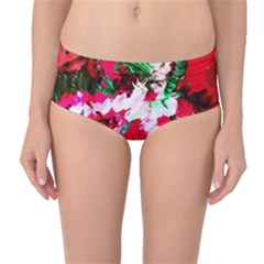 Dscf1703 - Creation Of Japan Mid-waist Bikini Bottoms by bestdesignintheworld