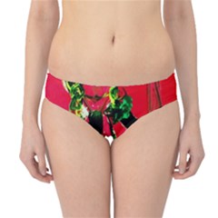 Dscf1545 - Spanish Dancer Hipster Bikini Bottoms by bestdesignintheworld