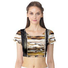 Dscf1952 - Pandora Box Short Sleeve Crop Top by bestdesignintheworld