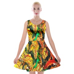 Tiger Lillis   1 Velvet Skater Dresses by bestdesignintheworld