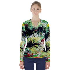 In The Nest And Around 4 V-neck Long Sleeve Top by bestdesignintheworld