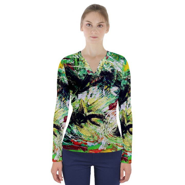 In The Nest And Around 4 V-Neck Long Sleeve Top