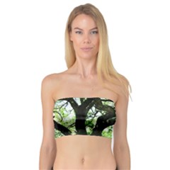 Lake Park 6 Bandeau Top by bestdesignintheworld