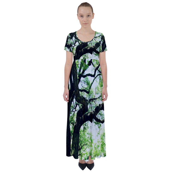 Lake Park 6 High Waist Short Sleeve Maxi Dress