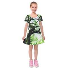 Lake Park 6 Kids  Short Sleeve Velvet Dress by bestdesignintheworld