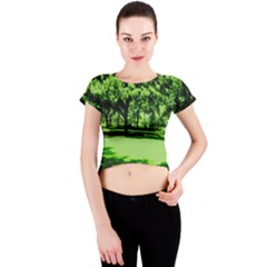 Lake Park 13 Crew Neck Crop Top by bestdesignintheworld