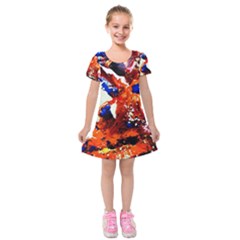 Smashed Butterfly 1 Kids  Short Sleeve Velvet Dress by bestdesignintheworld