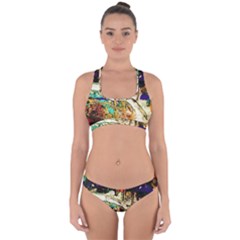 Skull 6 Cross Back Hipster Bikini Set