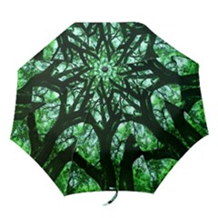 Lake Park 3 Folding Umbrellas by bestdesignintheworld