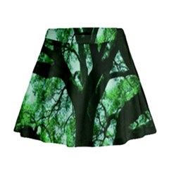 Lake Park 3 Mini Flare Skirt by bestdesignintheworld