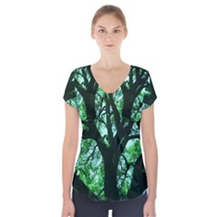 Lake Park 3 Short Sleeve Front Detail Top by bestdesignintheworld