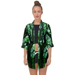 Lake Park 3 Open Front Chiffon Kimono by bestdesignintheworld