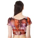 Antick Gate 2 Short Sleeve Crop Top View2