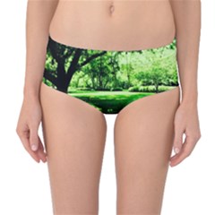 Lake Park 14 Mid-waist Bikini Bottoms by bestdesignintheworld