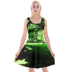 Lake Park 14 Reversible Velvet Sleeveless Dress by bestdesignintheworld