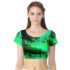 Lake Park 20 Short Sleeve Crop Top by bestdesignintheworld