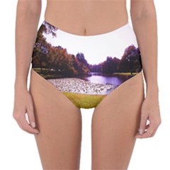 Highland Park 7 Reversible High-waist Bikini Bottoms by bestdesignintheworld