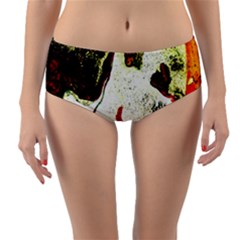 Skull 2 Reversible Mid-waist Bikini Bottoms by bestdesignintheworld