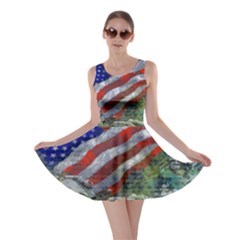 Usa United States Of America Images Independence Day Skater Dress by Sapixe