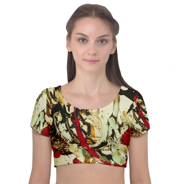 11050755 425516717609319 5580692376697600869 O ireland-1 Velvet Short Sleeve Crop Top 