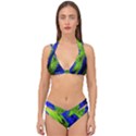 Point Of Equilibrium 7 Double Strap Halter Bikini Set View1