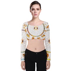 Zodiac  Institute Of Vedic Astrology Velvet Crop Top by Sapixe