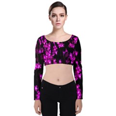 Abstract Background Purple Bright Velvet Crop Top