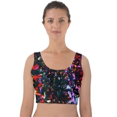 Abstract Background Celebration Velvet Crop Top by Sapixe