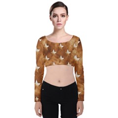 Stars Brown Background Shiny Velvet Crop Top by Sapixe