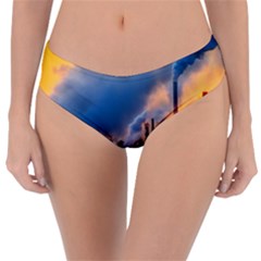 Warming Global Environment Nature Reversible Classic Bikini Bottoms by Sapixe